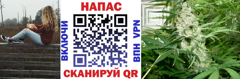 Купить наркотик аптеки Нижний Новгород Кодеин  Гашиш  Марихуана  Alpha-PVP  АМФЕТАМИН 
