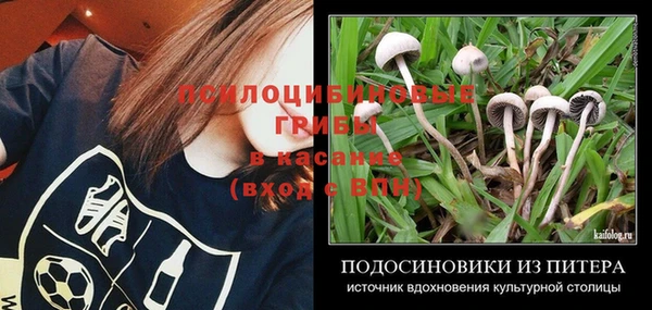 круглые Алзамай