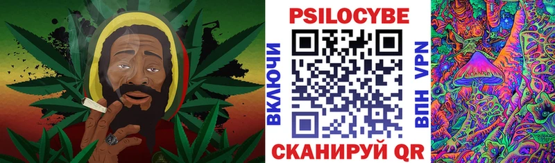 купить  сайты  Нижний Новгород  Галлюциногенные грибы MAGIC MUSHROOMS 
