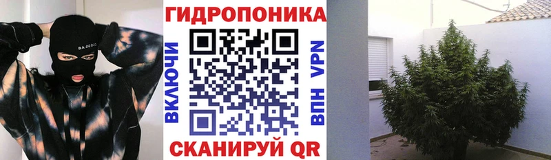 Бошки Шишки гибрид Нижний Новгород